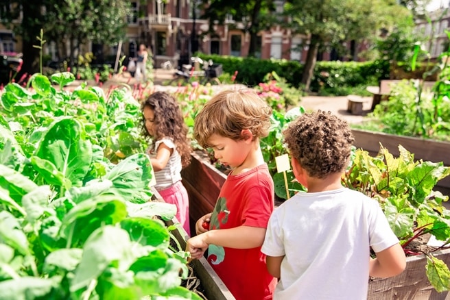 Hbo manager kinderopvang met subsidie