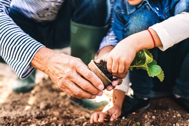 gezonde-kinderopvang-subsidiegroen-doen