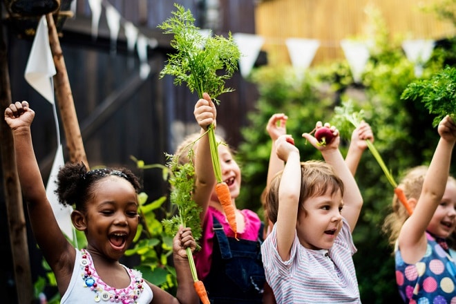 limburgse-kinderen-eten-meer-groente-op-de-kinderopvang-met-groenteboxjes