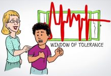 animatie stress window of tolerance