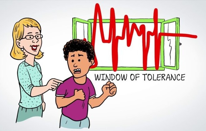 animatie stress window of tolerance