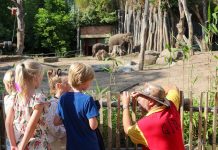 avontuurlijke-samenwerking-tussen-koningskinderen-en-dierenpark-amersfoort