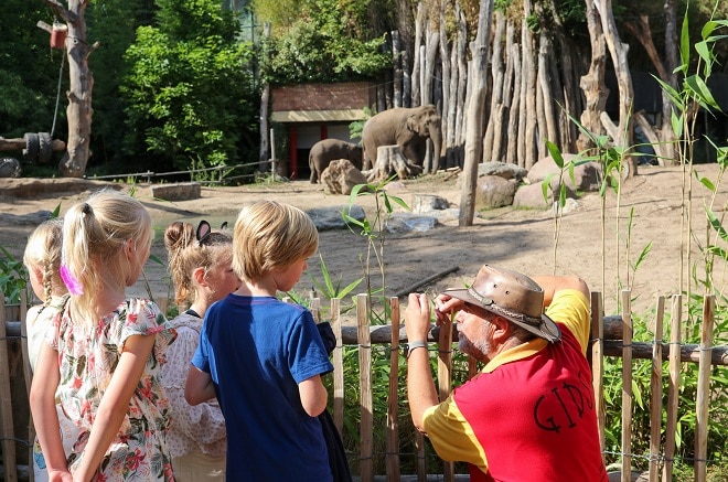 avontuurlijke-samenwerking-tussen-koningskinderen-en-dierenpark-amersfoort