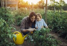 agrarische-kinderopvang-is-goede-toevoeging-voor-de-sector-in-deze-tijd-van-arbeidskrapte