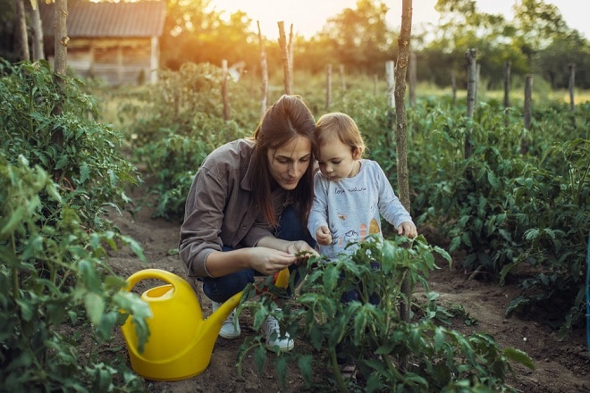 agrarische-kinderopvang-is-goede-toevoeging-voor-de-sector-in-deze-tijd-van-arbeidskrapte