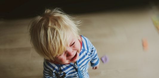 stress-in-de-kinderopvang-sanne-de-vet-deed-jarenlang-onderzoek