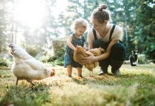 moet-agrarische-kinderopvang-sluiten-als-boerenbedrijf-stopt