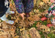 Kinderlaarsjes die in de herfstbladeren staat