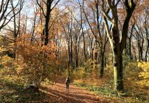 natuurkracht-als-superkracht-wat-binnen-kan-moet-ook-buiten-kunnen