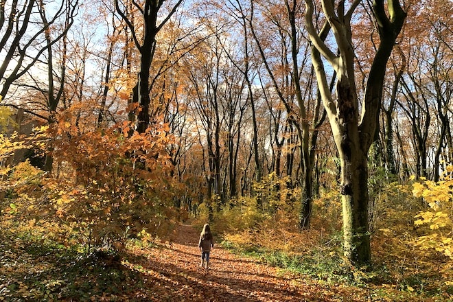 natuurkracht-als-superkracht-wat-binnen-kan-moet-ook-buiten-kunnen