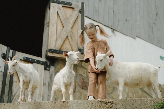 Meisje aait een geit bij opvang op boerderij.