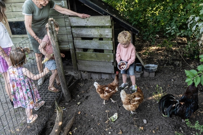 Kinderdagverblijf Het Hooibergje