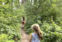 nedrland-en-denemarken-koploper=formele-kinderopvang