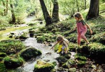 spelende kinderen in het bos