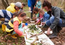 Kinderen spelen met pedagogisch medewerker in het bos.