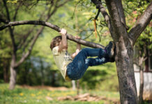 Waar ligt de grens tussen gevaarlijk- en risicovol spelen? Little boy facing challenge trying to climb a tree. Shallow depth of field